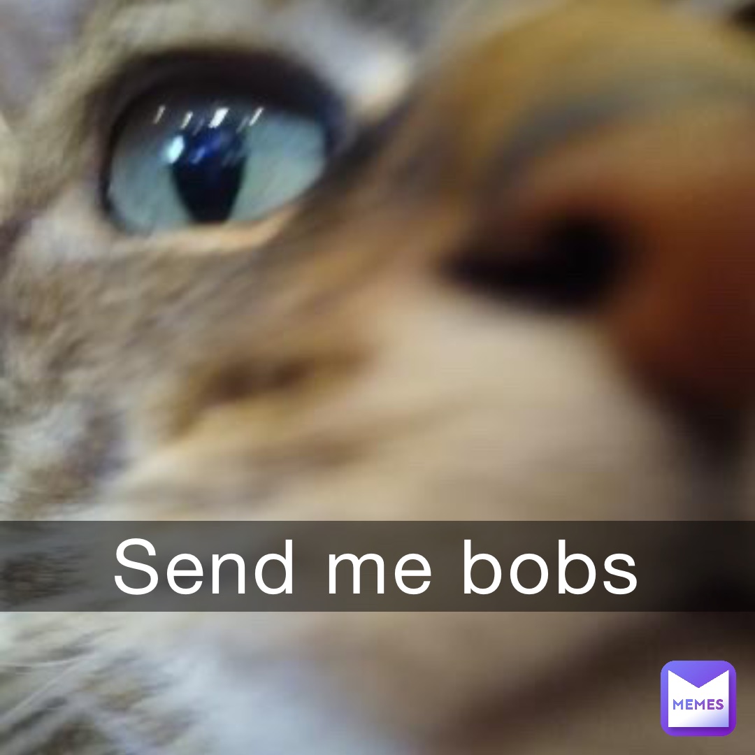 Send me bobs