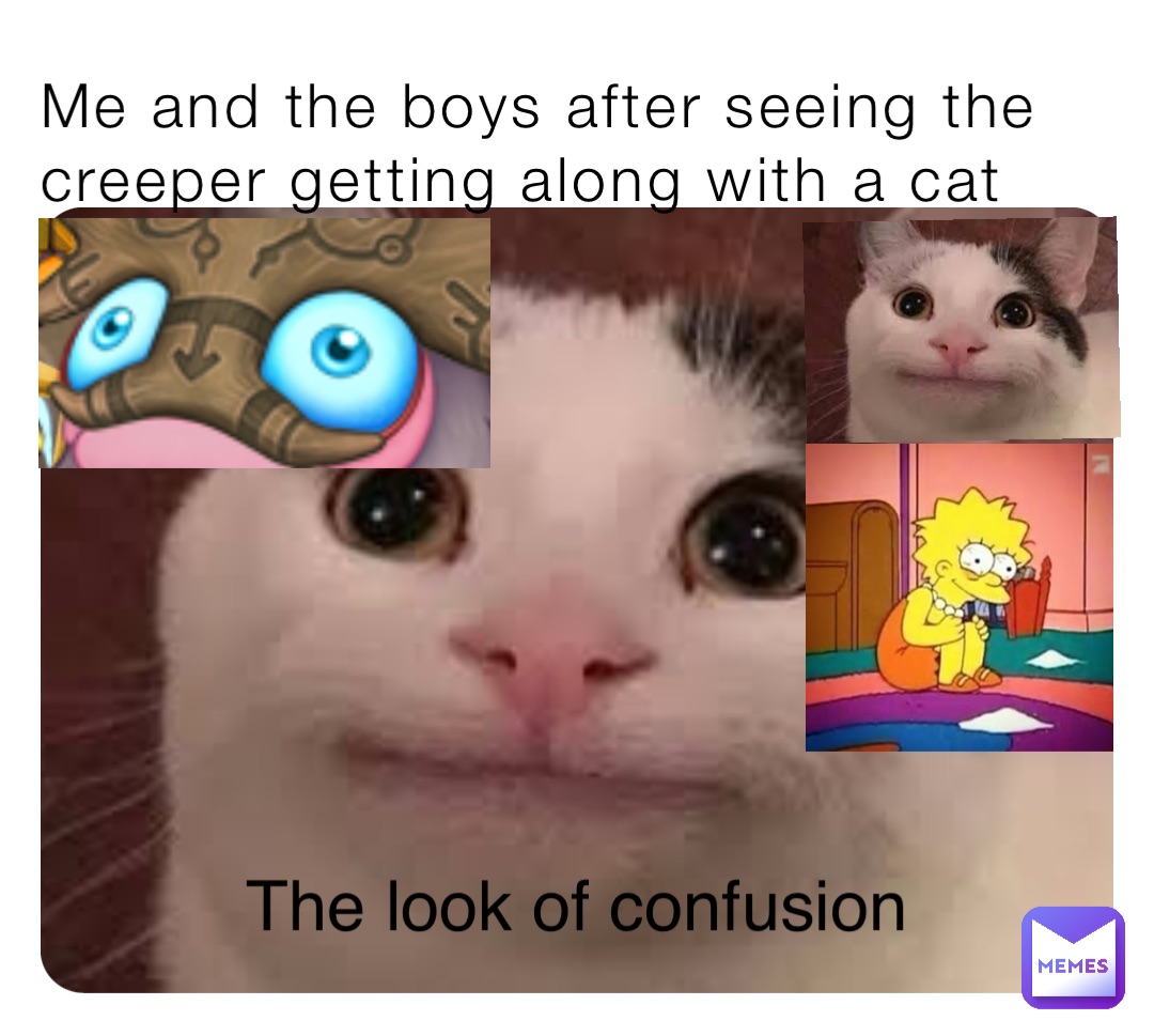 Me and the boys after seeing the creeper getting along with a cat The look of confusion