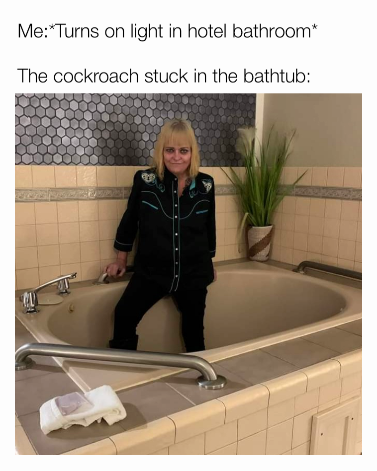 Me:*Turns on light in hotel bathroom*

The cockroach stuck in the bathtub: