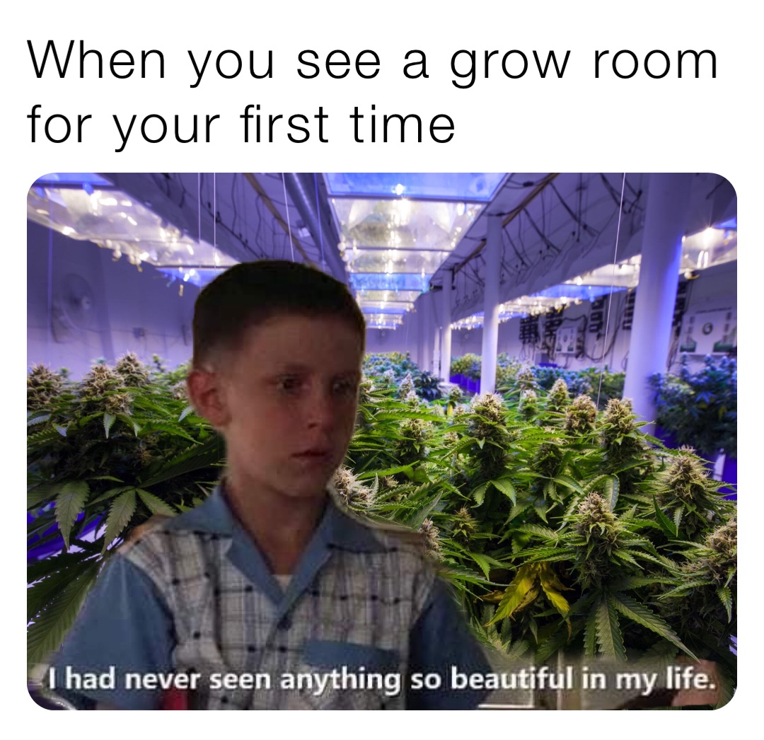 When you see a grow room 
for your first time