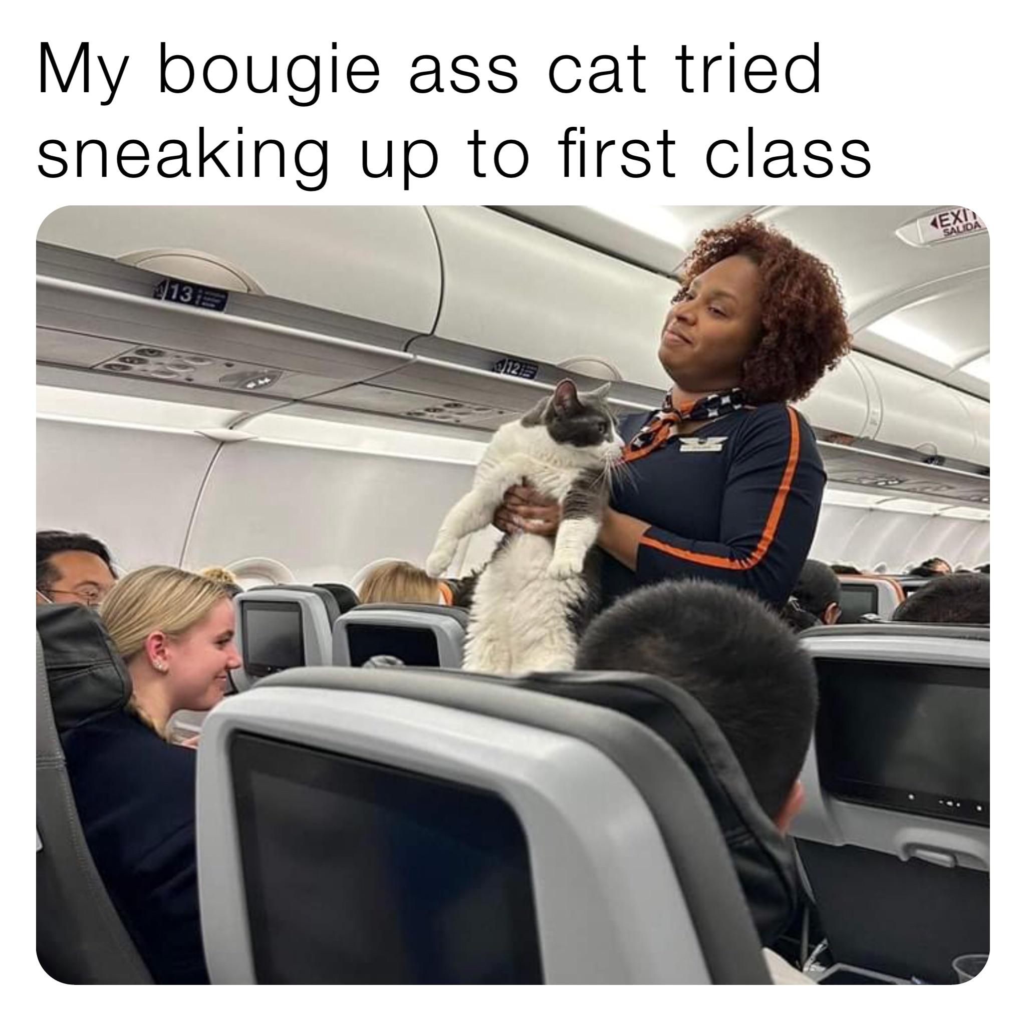 My bougie ass cat tried sneaking up to first class