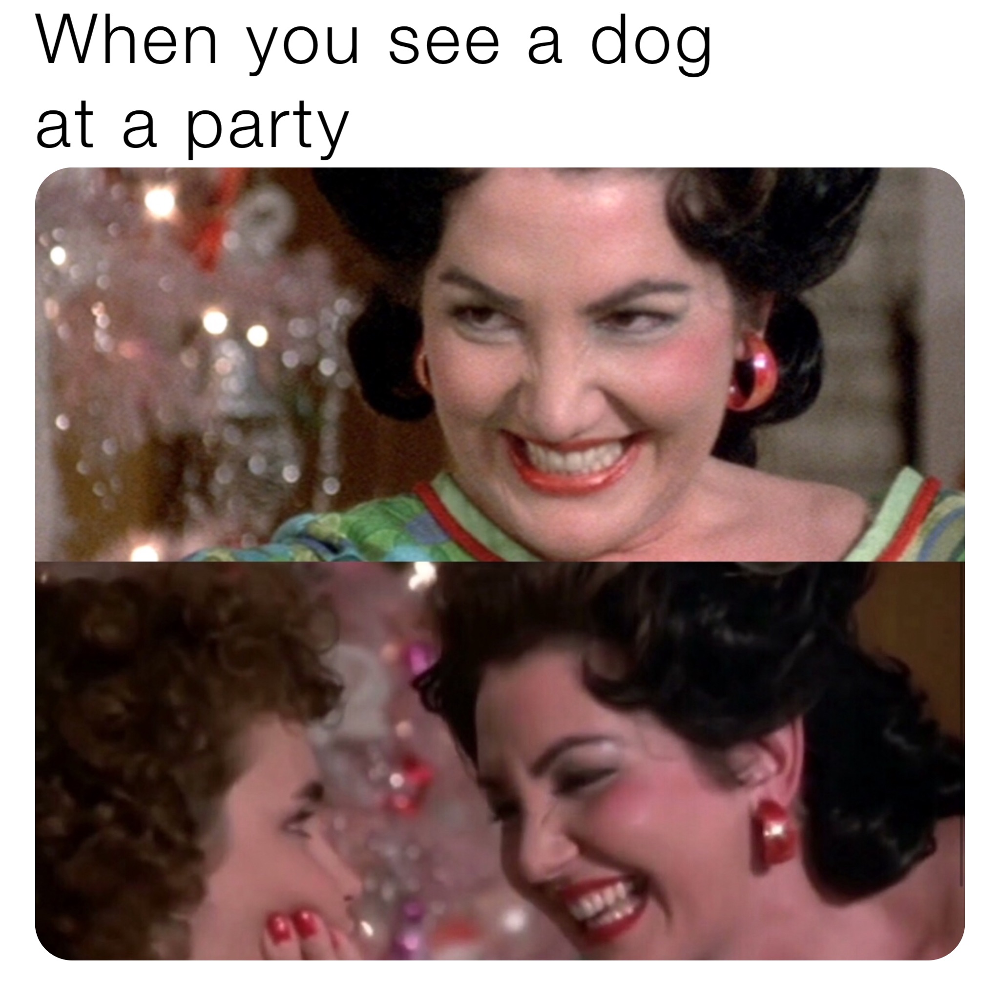 When you see a dog 
at a party