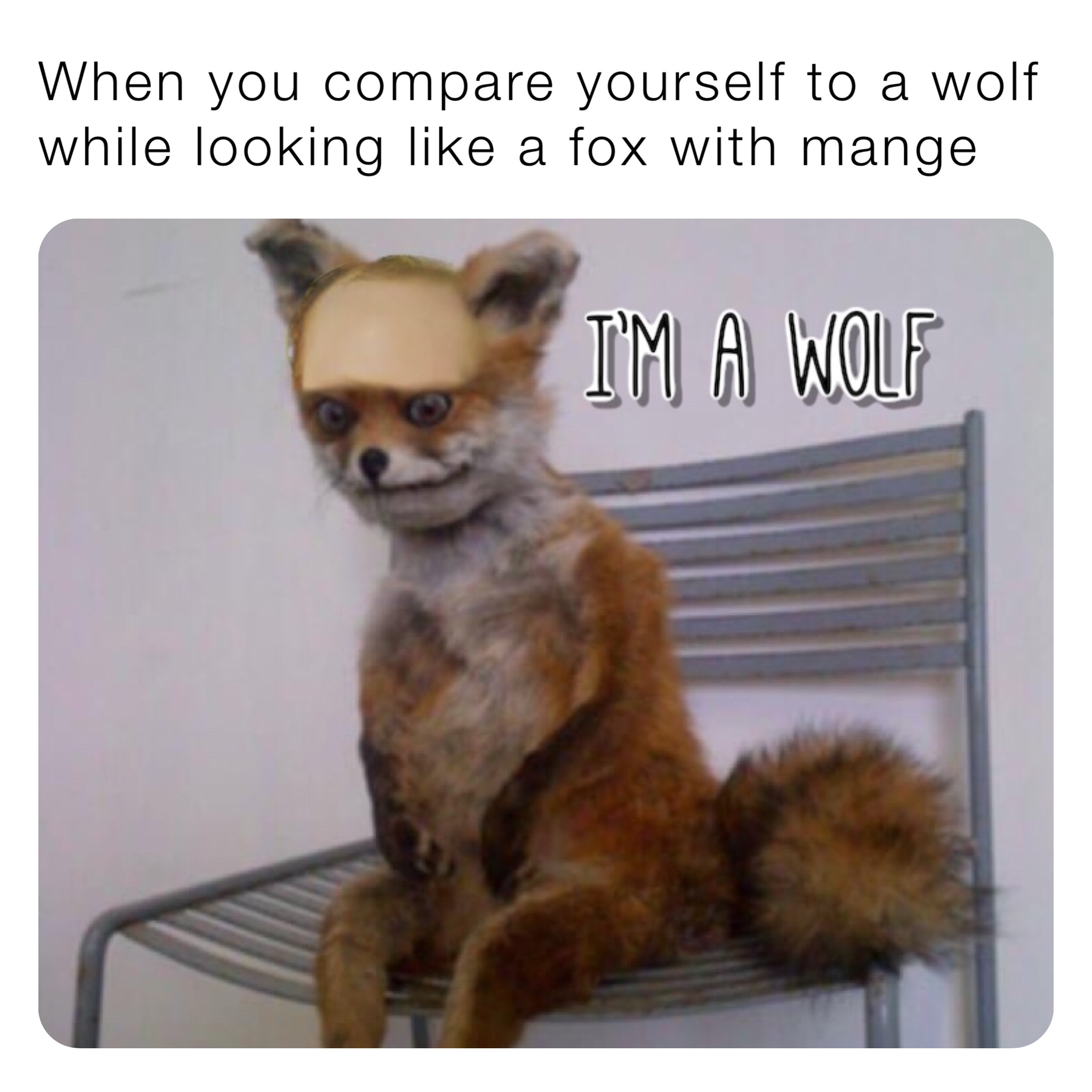 When you compare yourself to a wolf while looking like a fox with mange