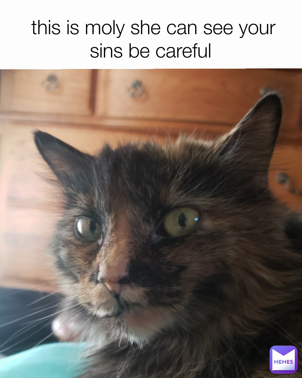 this is moly she can see your sins be careful 