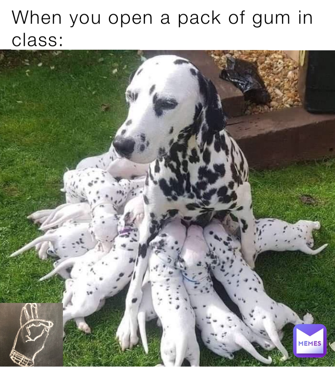 When you open a pack of gum in class: