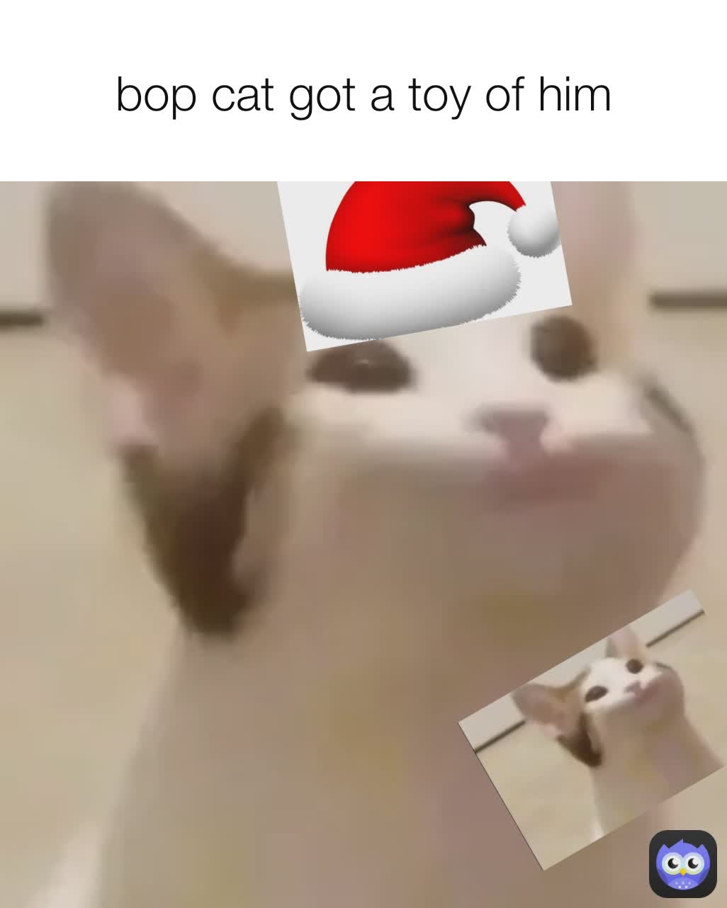 bop cat got a toy of him
