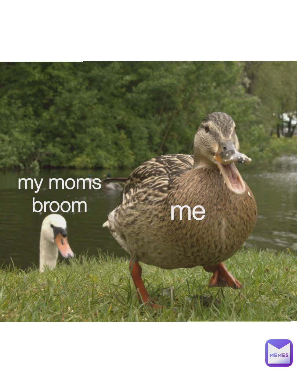 Type Text my moms broom me