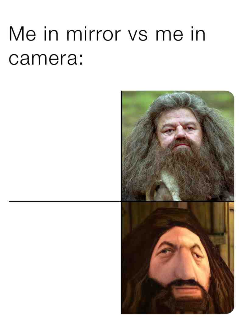 Meme preview