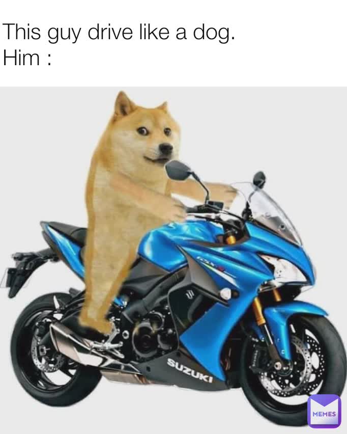 This guy drive like a dog.
Him :