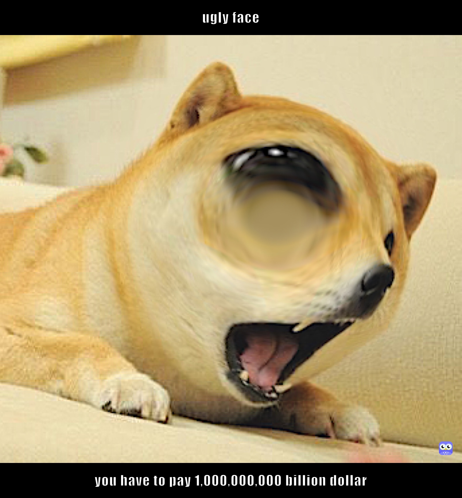 ugly face  you have to pay 1,000,000,000 billion dollar