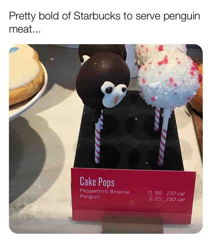 #funny #relatable #awkward #animals #creepy #food #starbucks #starbuckscoffee #penguins #exotic
