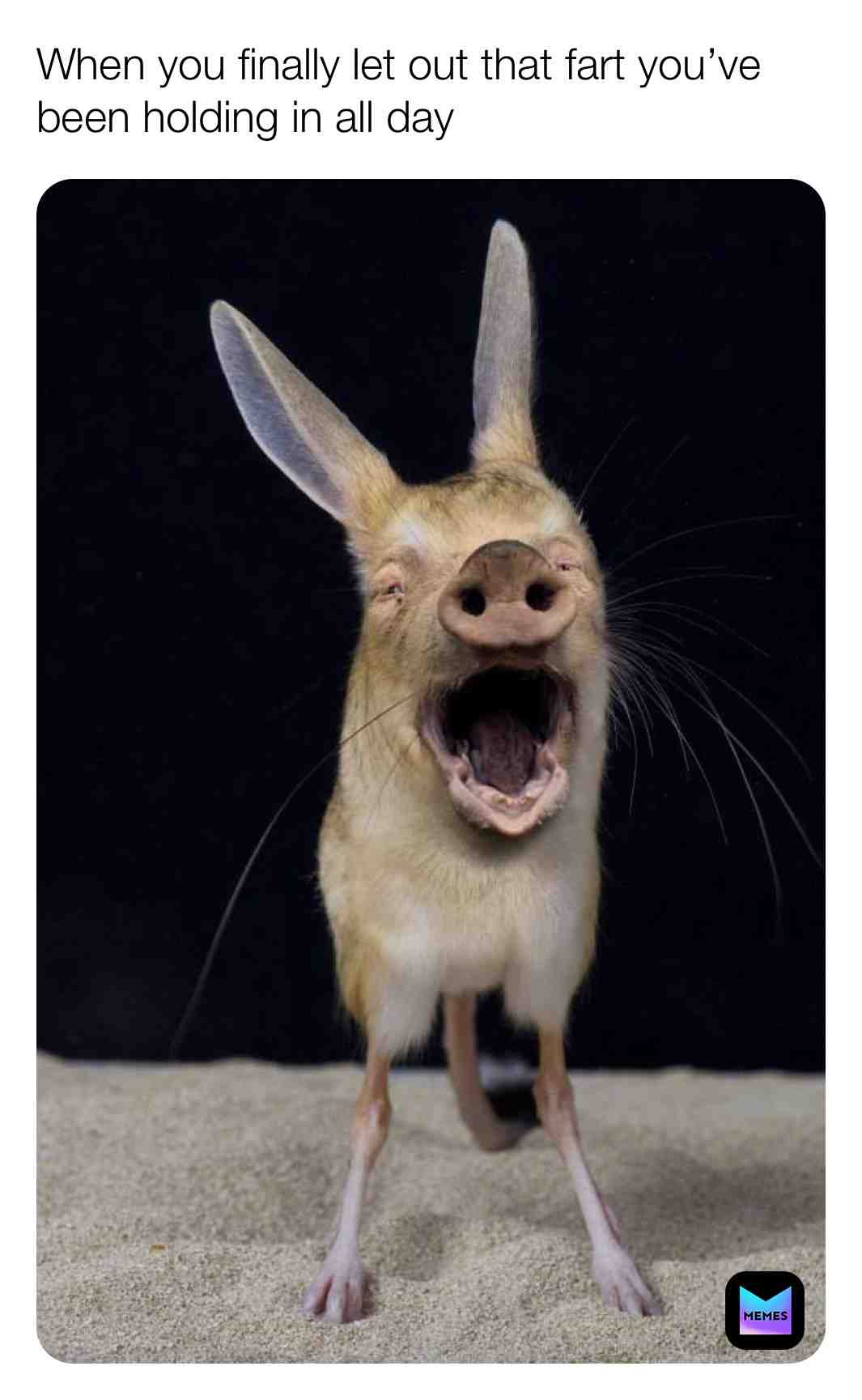 #funny #relatable #awkward #animals #creepy #bodyissues #followmyfuckingpage