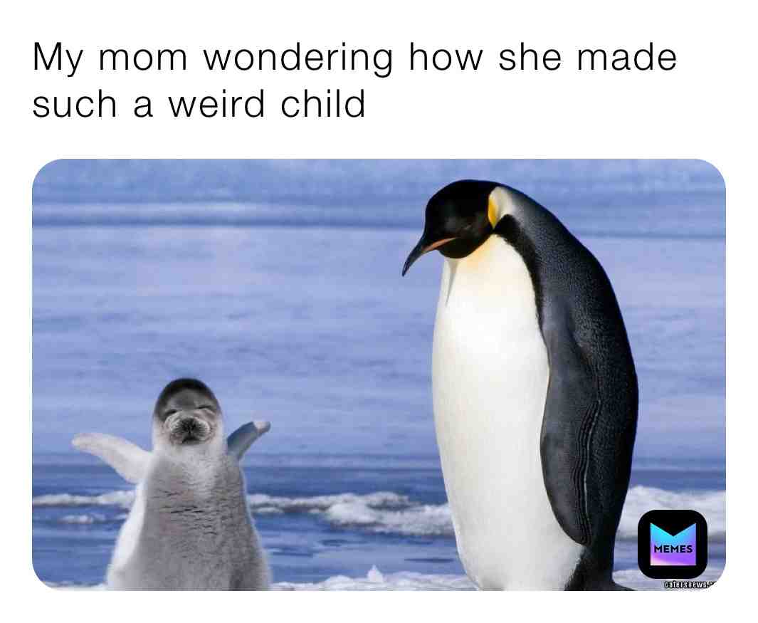 #funny #relatable #animals #childhood #childhoodmemories #penguins #followmyfuckingpage