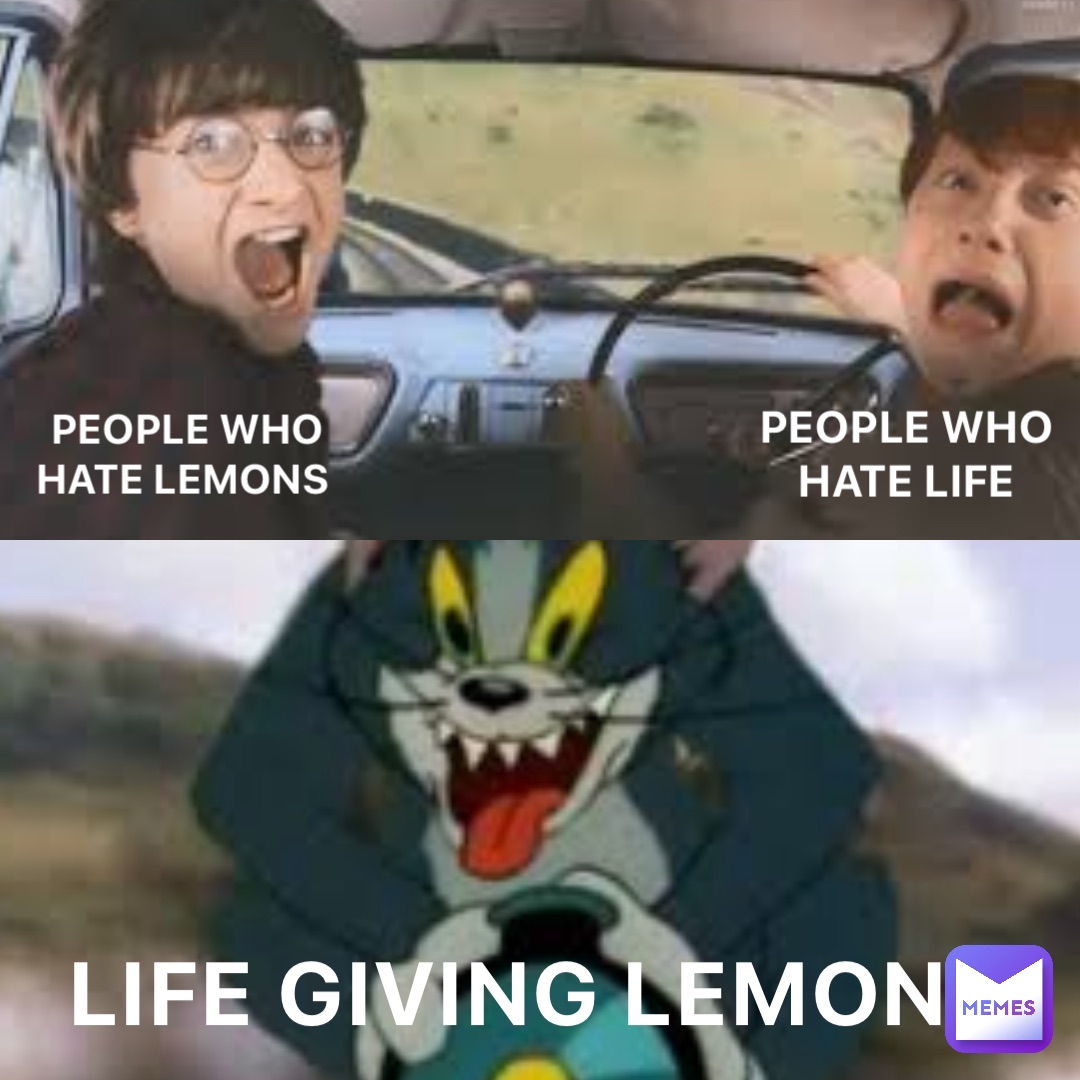 PEOPLE WHO HATE LEMONS PEOPLE WHO HATE LIFE LIFE GIVING LEMONS