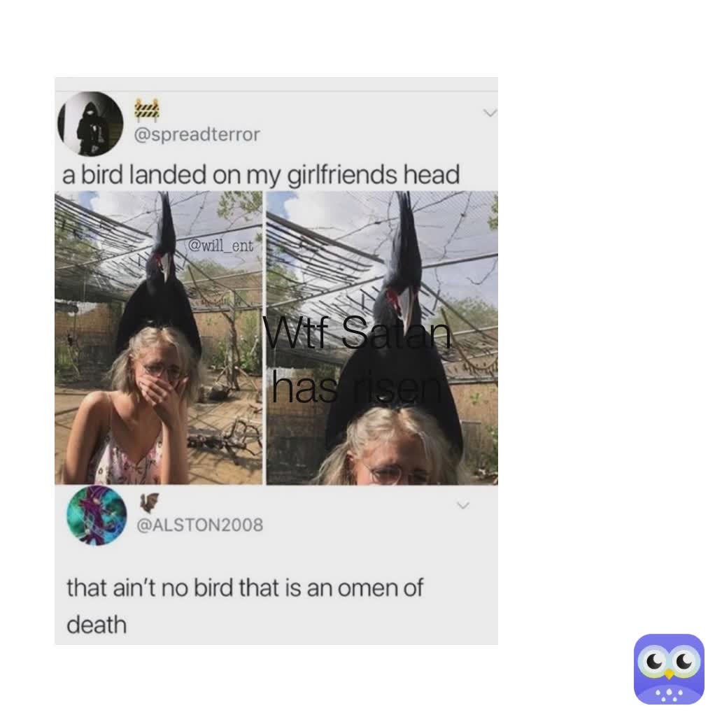 Meme by TomurA_Shigarak1