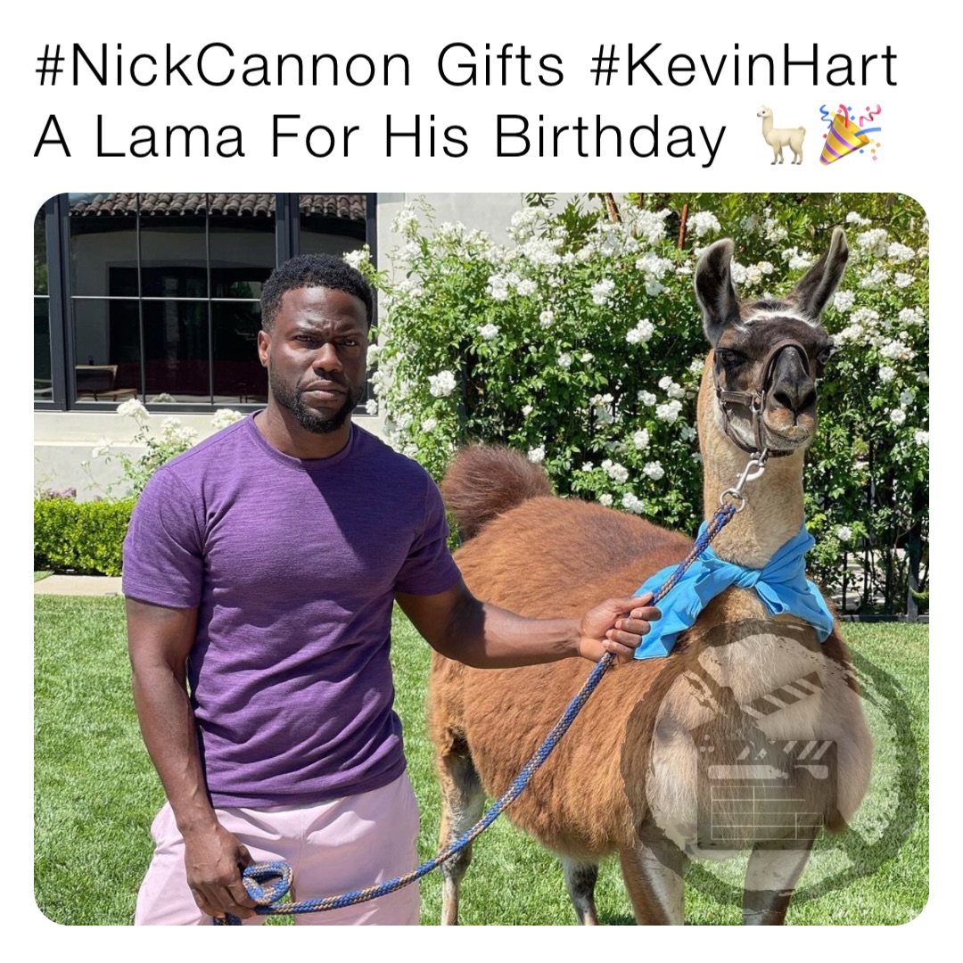 #NickCannon Gifts #KevinHart A Lama For His Birthday 🦙🎉