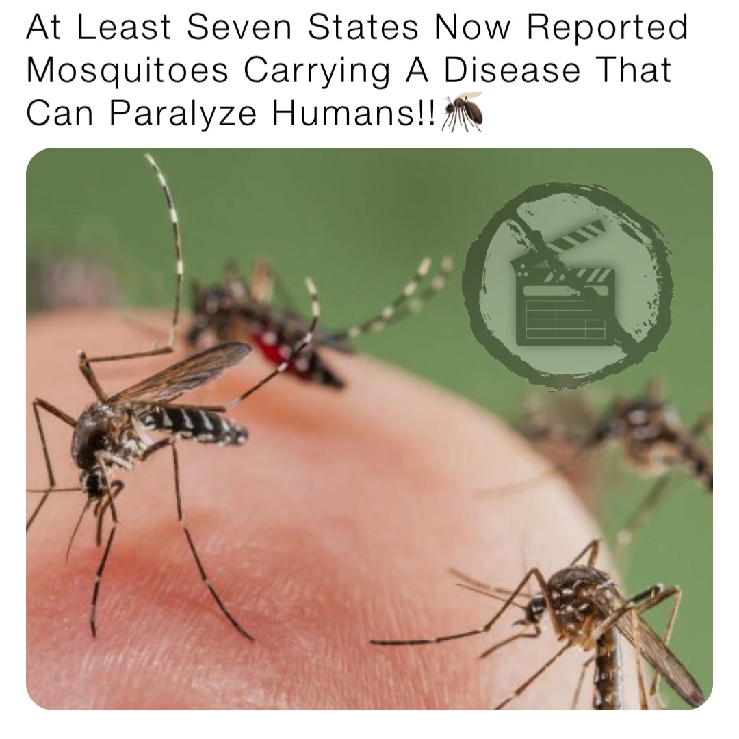 At Least Seven States Now Reported Mosquitoes Carrying A Disease That Can Paralyze Humans!!🦟