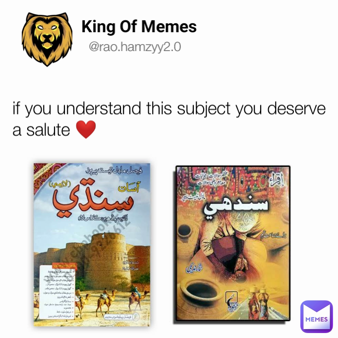 @rao.hamzyy2.0 King Of Memes  if you understand this subject you deserve a salute ❤️