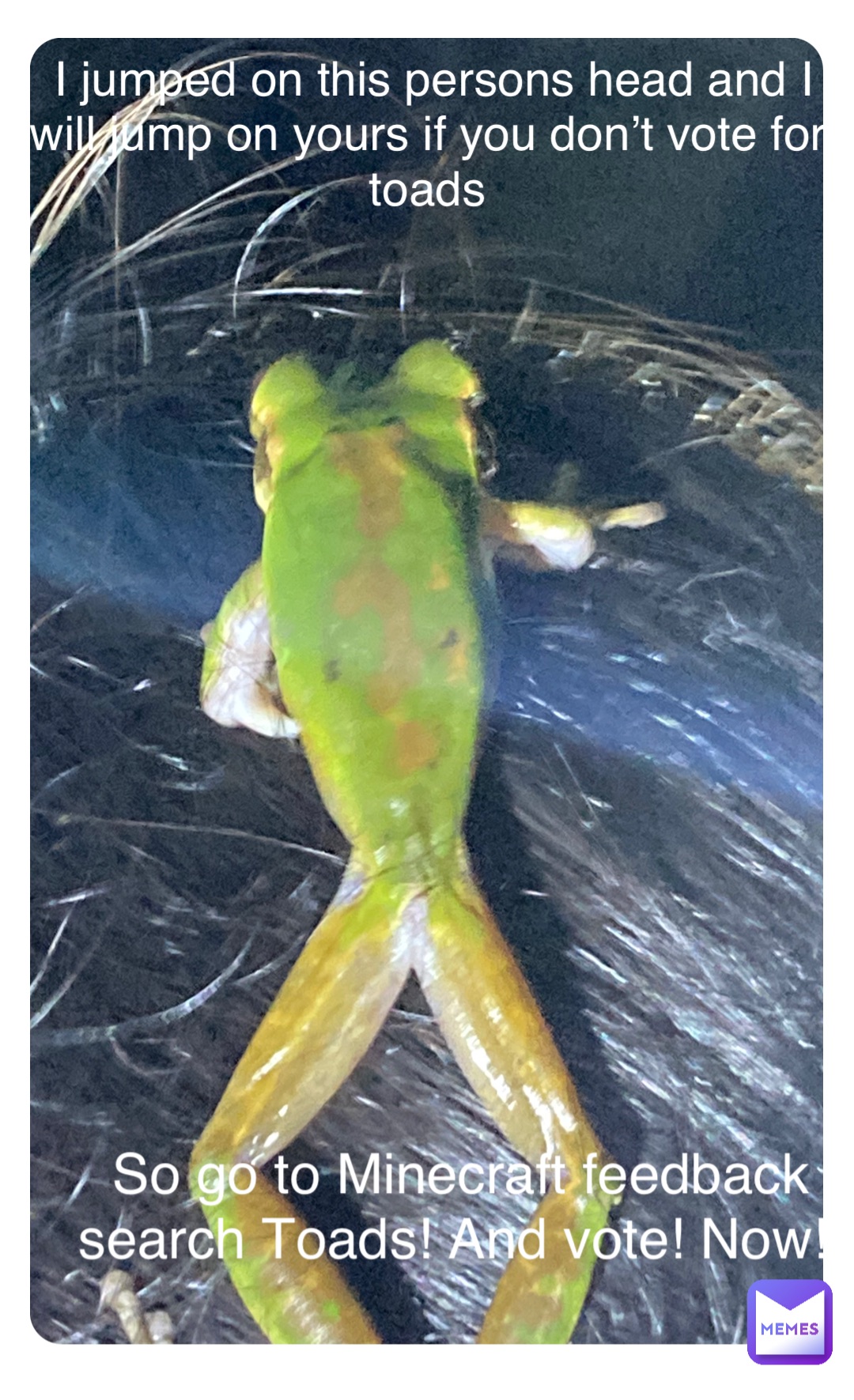 Meme by majestic_toad