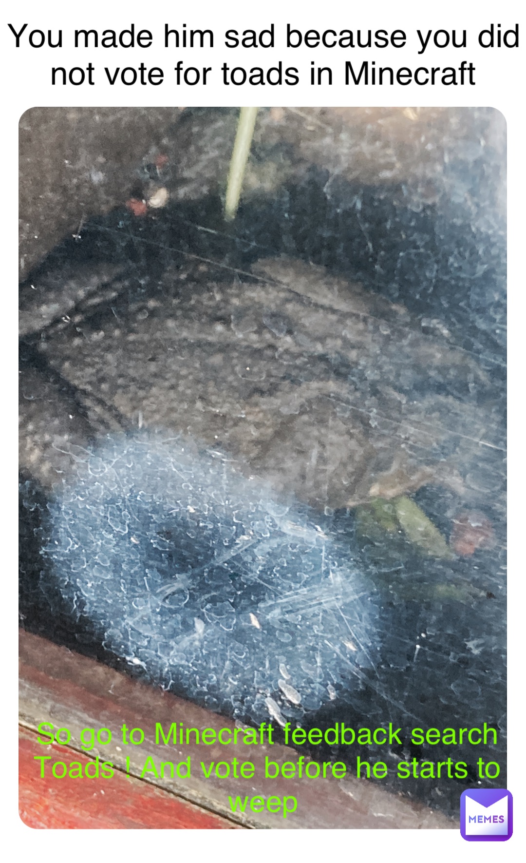 Meme by majestic_toad