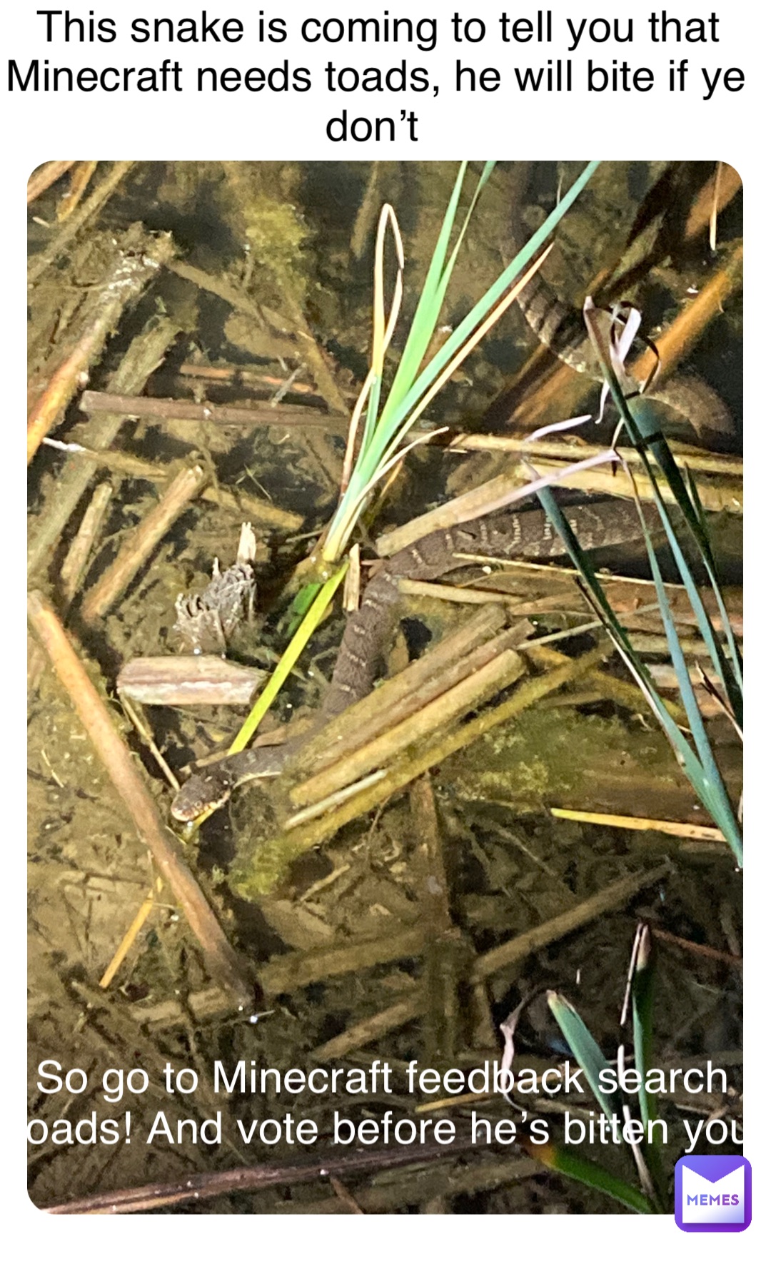 Meme by majestic_toad