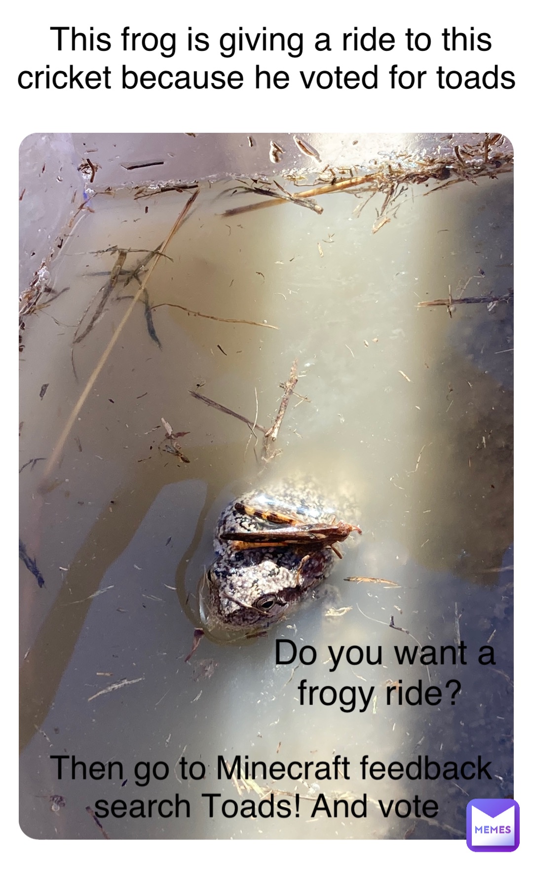 Meme by majestic_toad