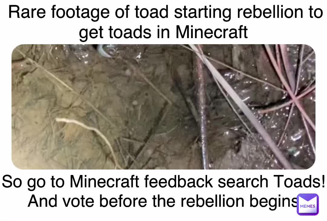 Meme preview
