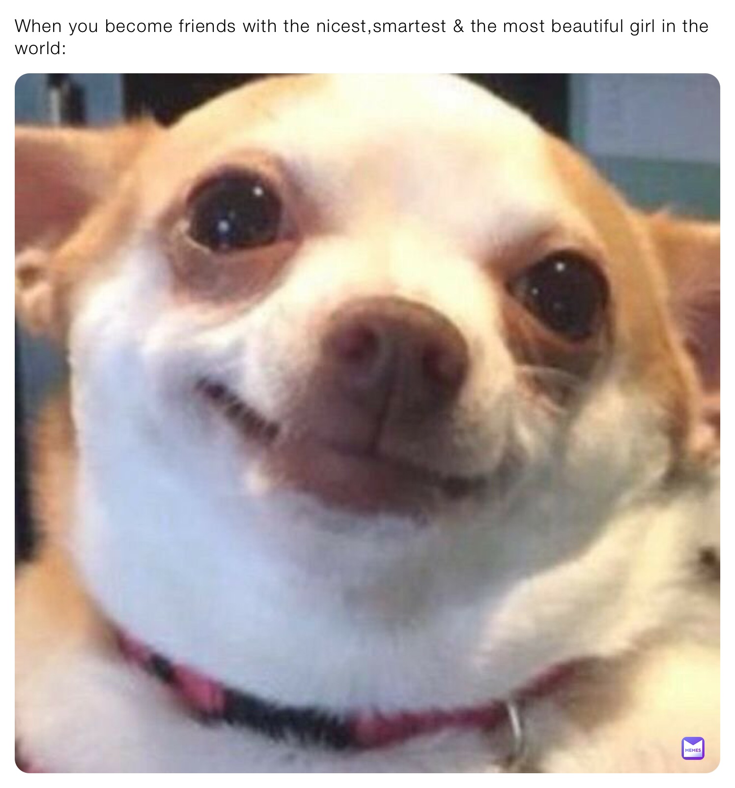 Meme by confuseddogs