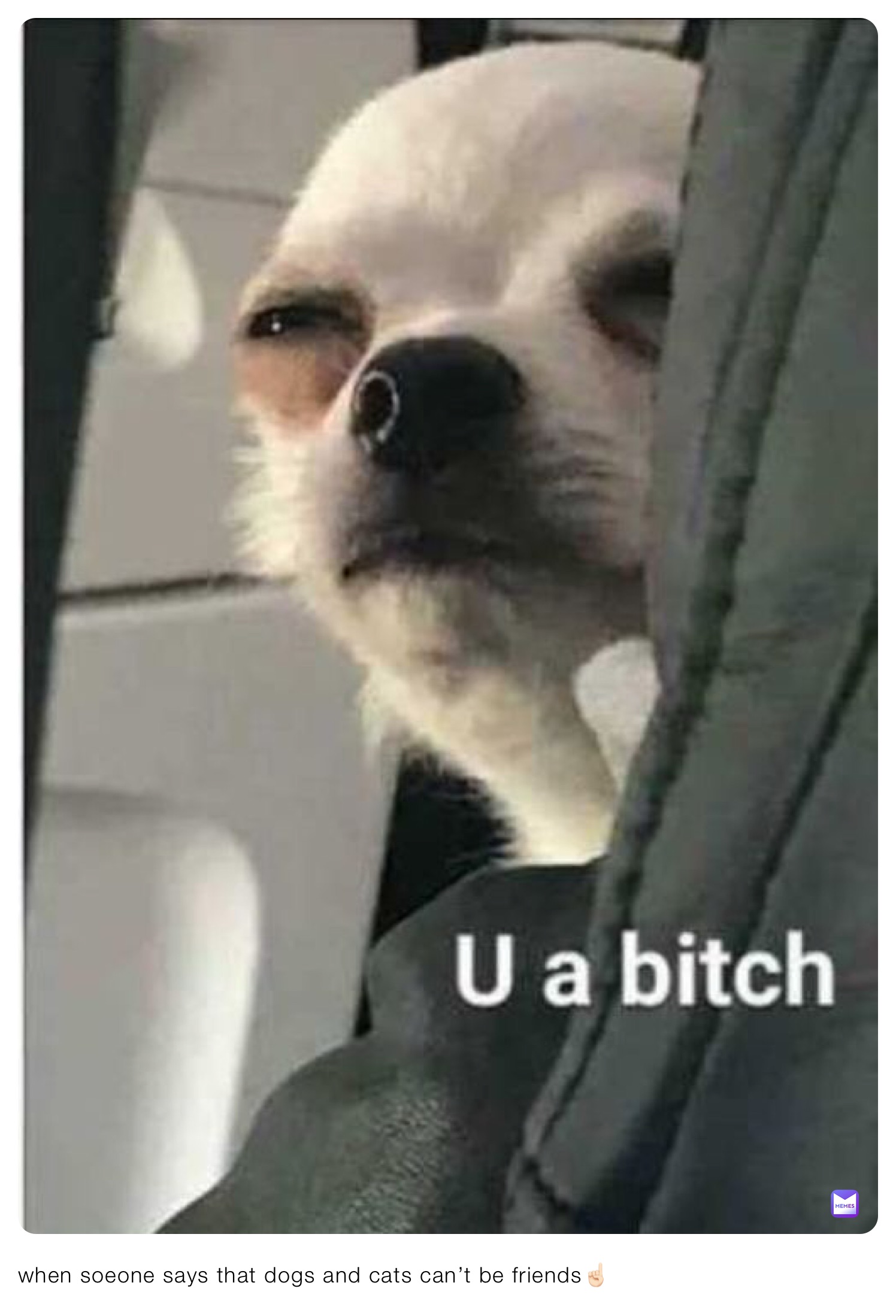 Meme by confuseddogs