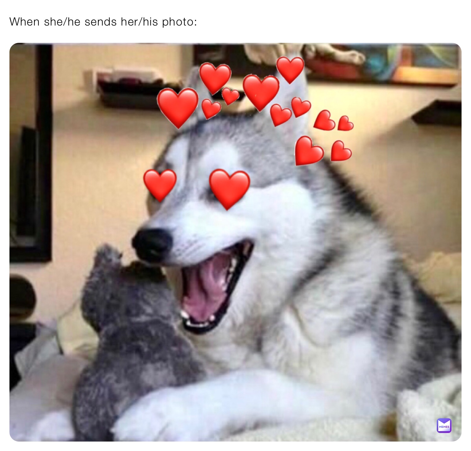 Meme by confuseddogs