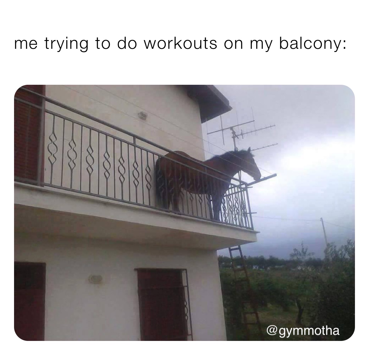 me trying to do workouts on my balcony: