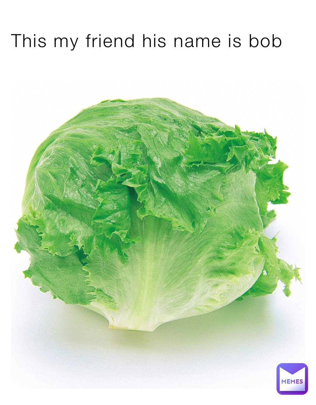 This my friend his name is bob