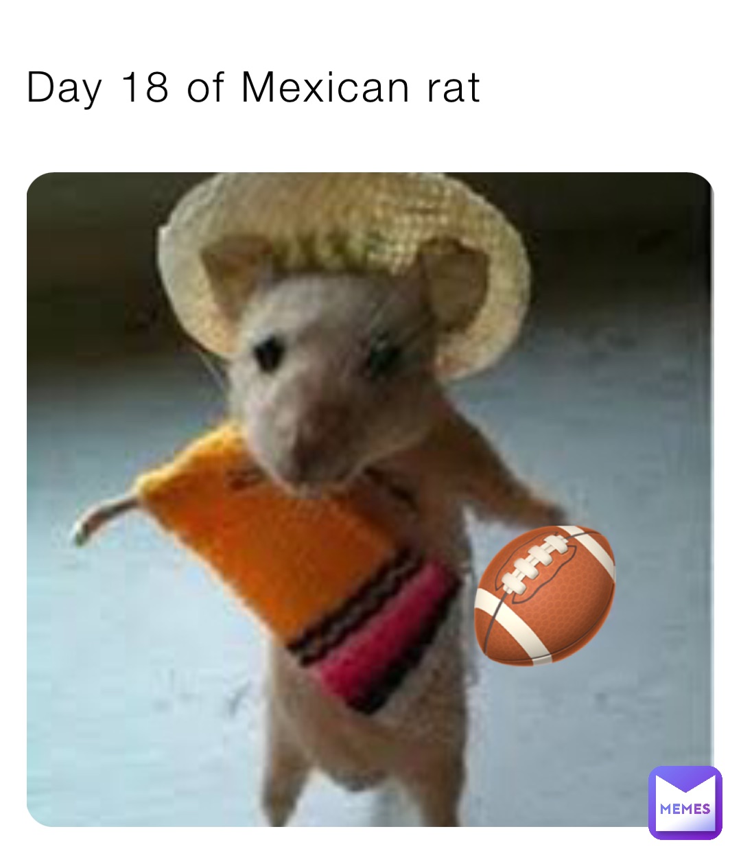 Day 18 of Mexican rat 🏈