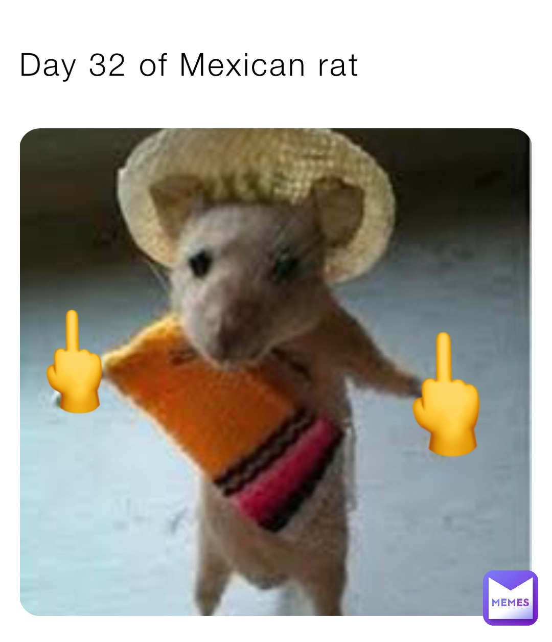 Day 32 of Mexican rat 🖕 🖕