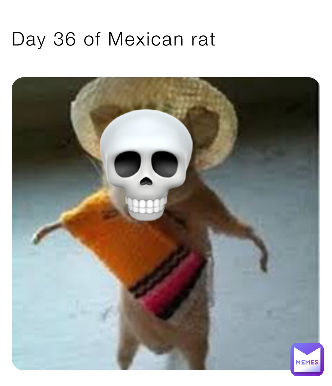 Day 36 of Mexican rat 💀
