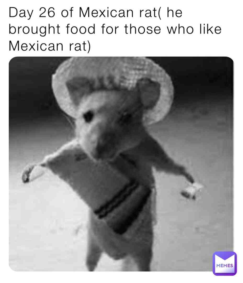 TACOS FOR EVERYONE