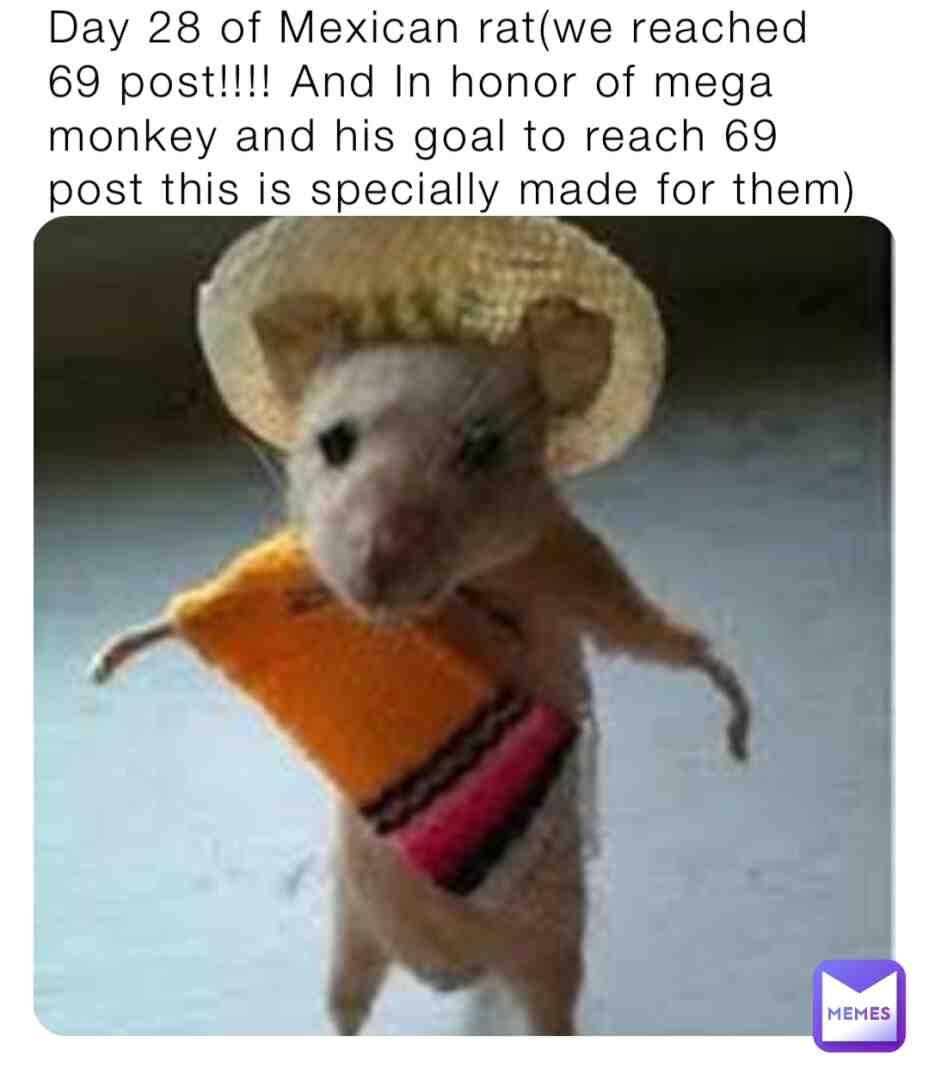 I believe in you mega monkey!