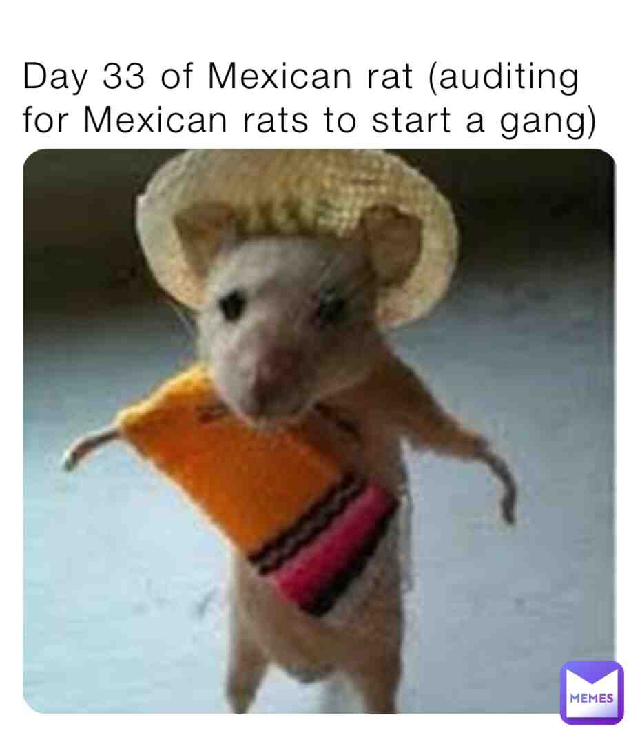 Meme shared by @mexican_rat_KING