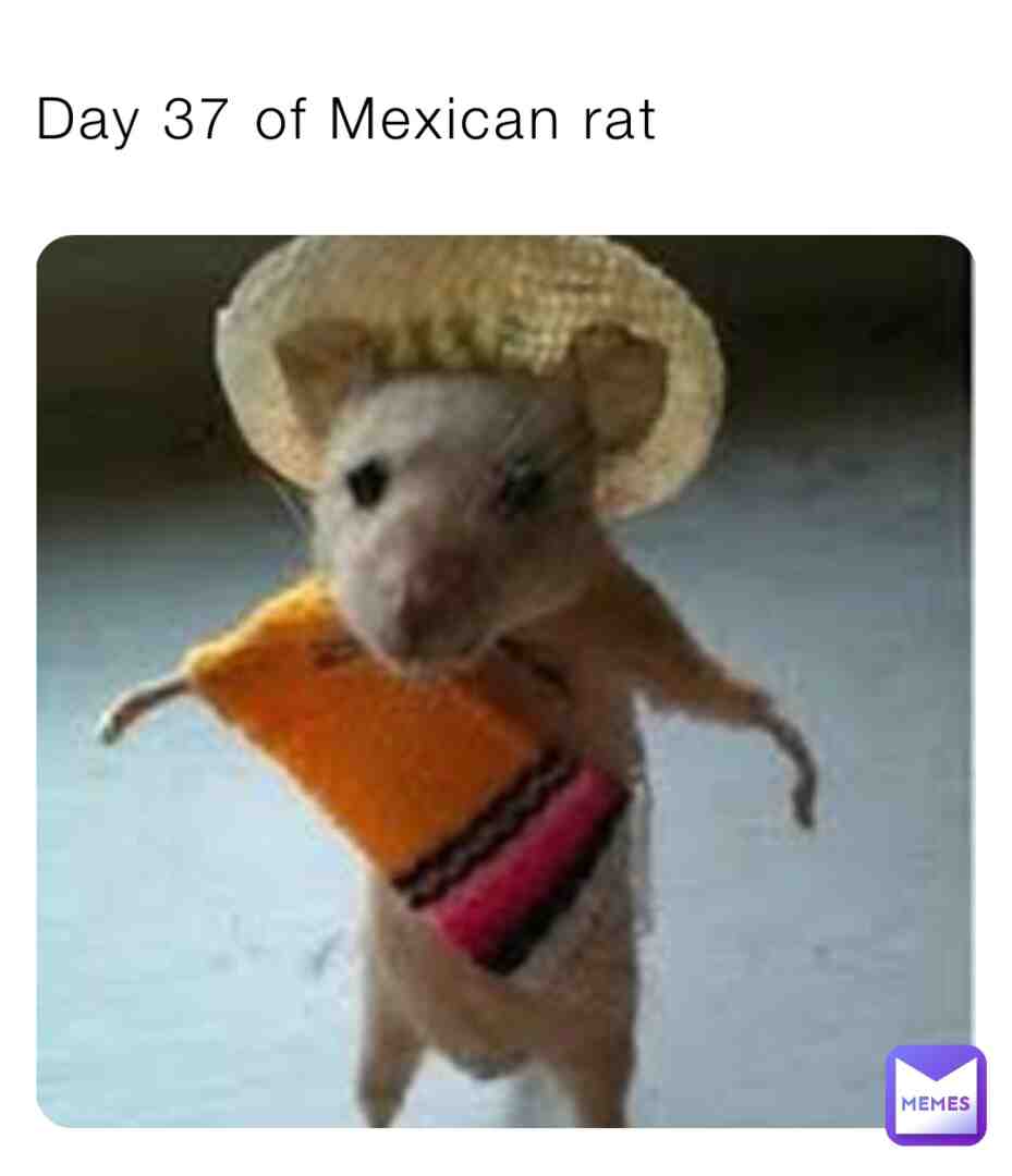 Meme shared by @mexican_rat_KING