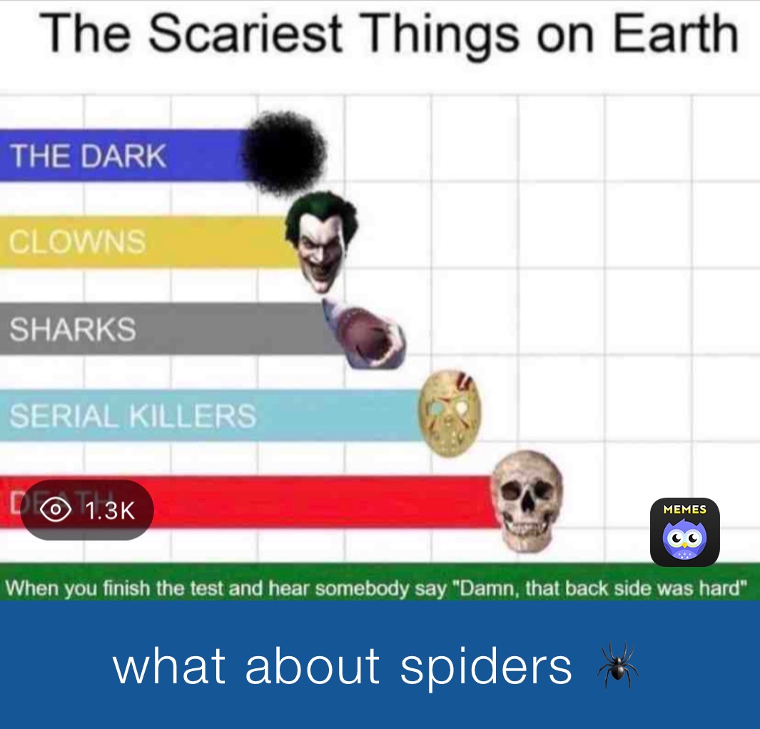 what about spiders 🕷
