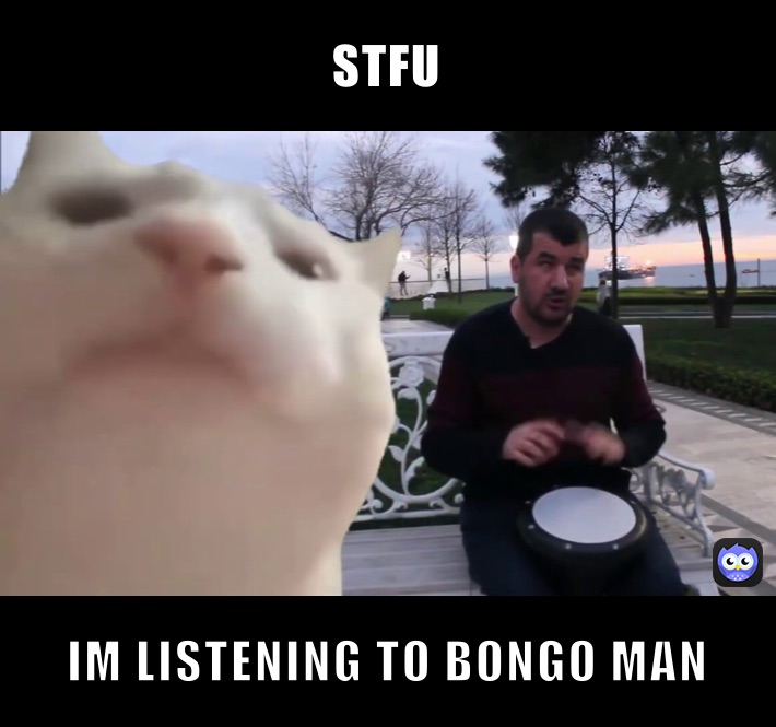 STFU IM LISTENING TO BONGO MAN