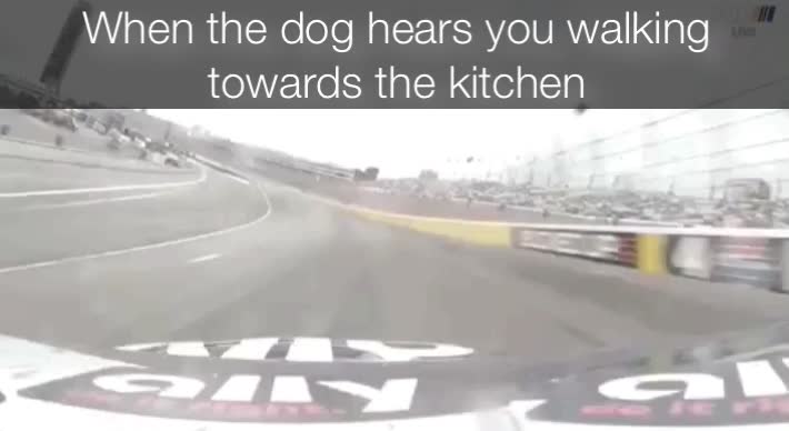 #nascar   #racing