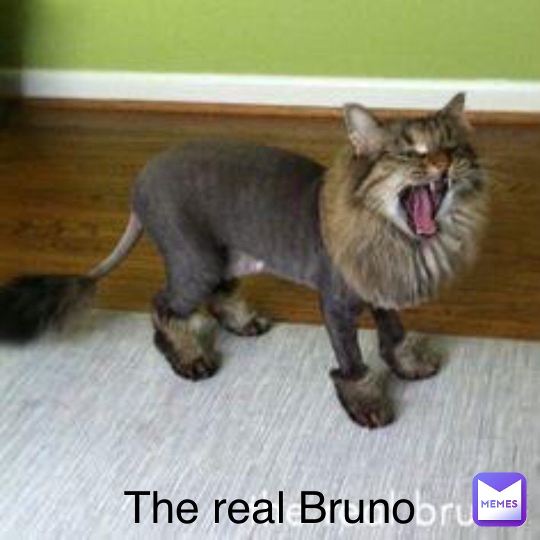 The real Bruno