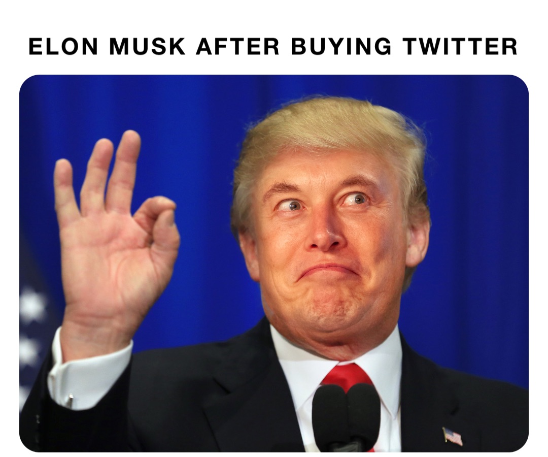 Elon Musk after buying twitter