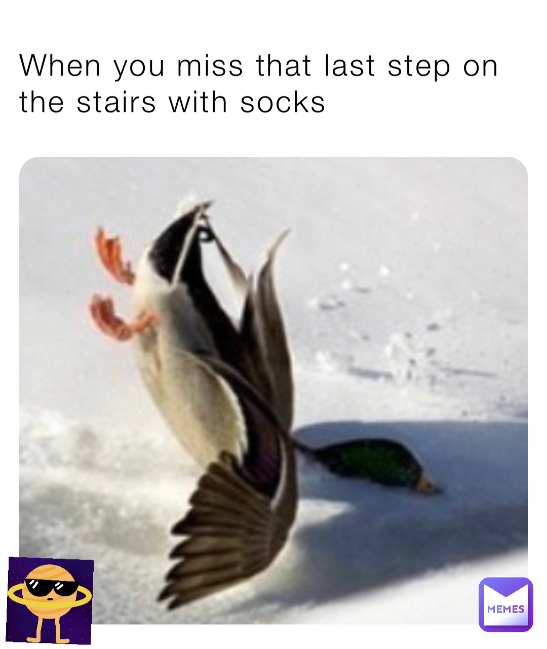 When you miss that last step on the stairs with socks