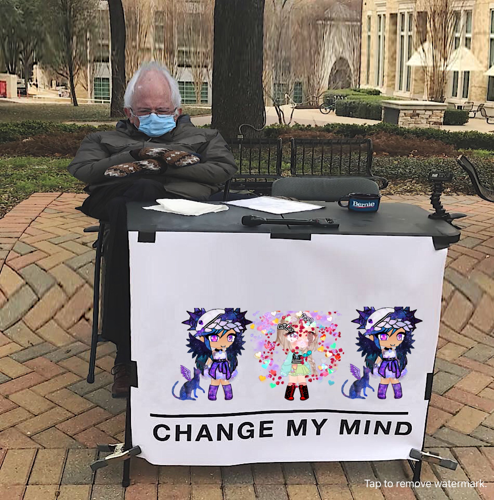 I have not meme in holiday 