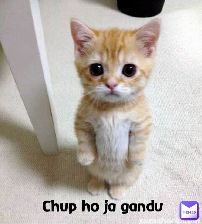 Chup ho ja gandu
