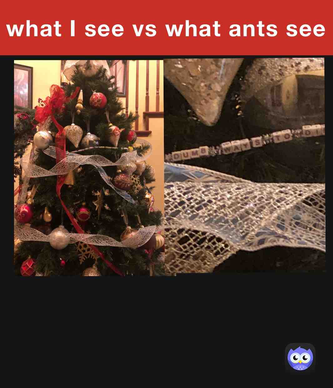 😐🤝🐜