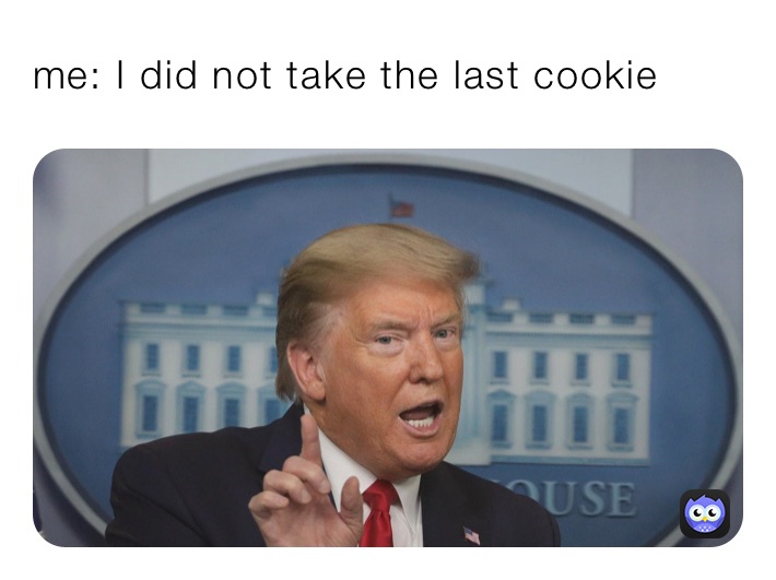 me: I did not take the last cookie 