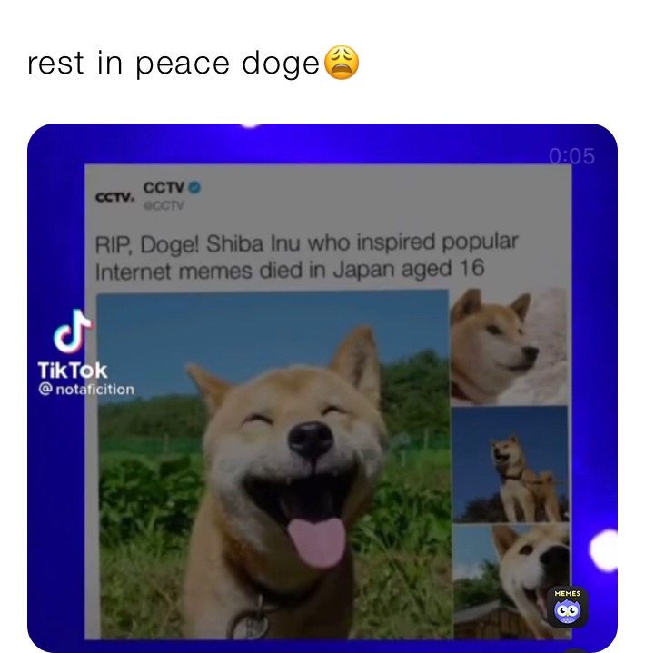 rest in peace doge😩